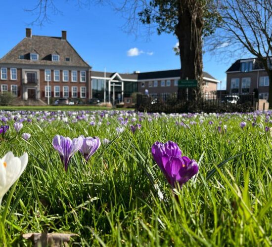 Voorkant gemeentehuis met krokussen op de voorgrond